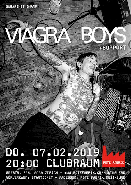 Poster Viagra Boys