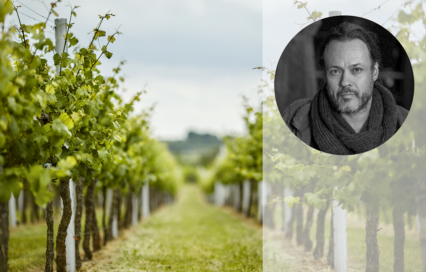 NZZ Weinseminar: Naturnaher Weinbau