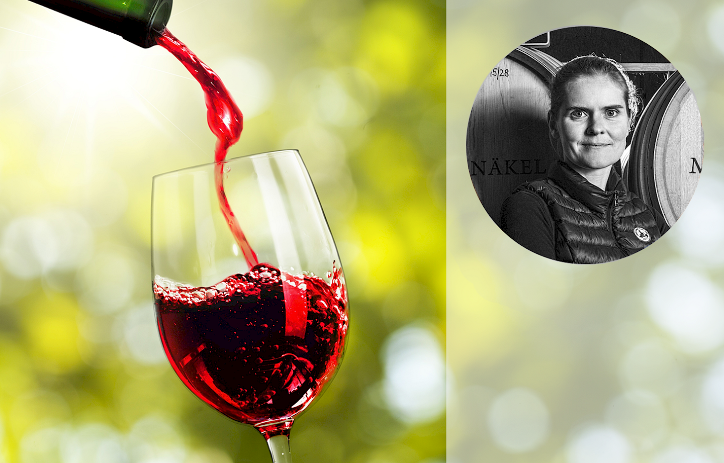 NZZ Weinseminar: Faszination Pinot Noir