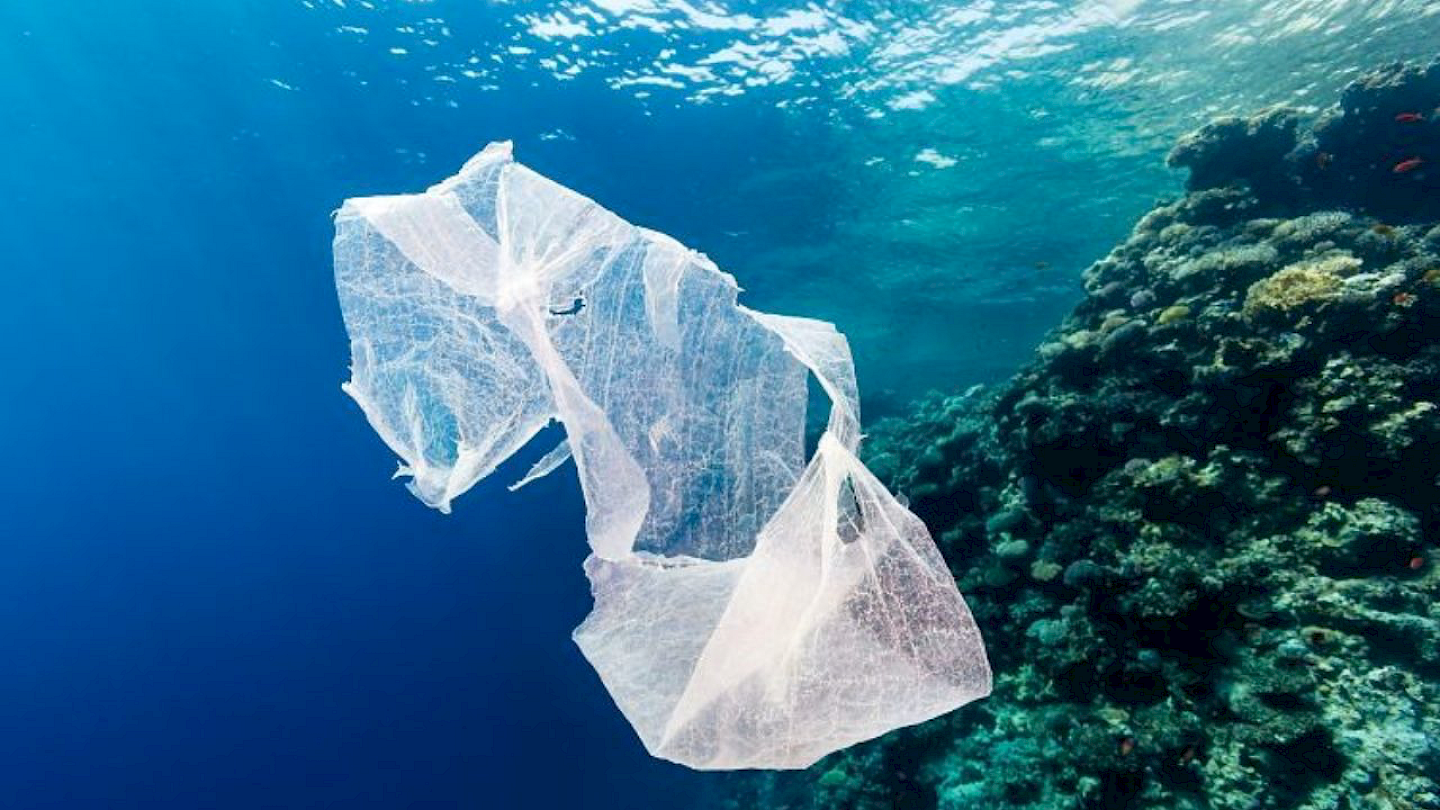 Benefizvorführung «A Plastic Ocean»