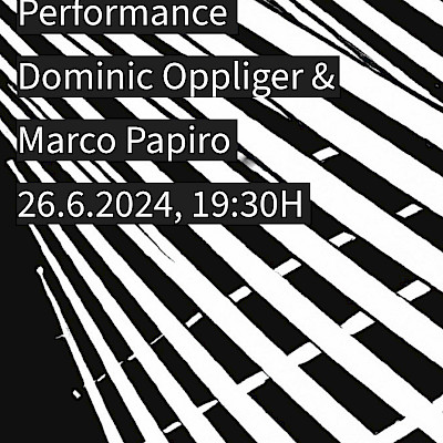Reading Performance Dominic Oppliger & Marco Papiro