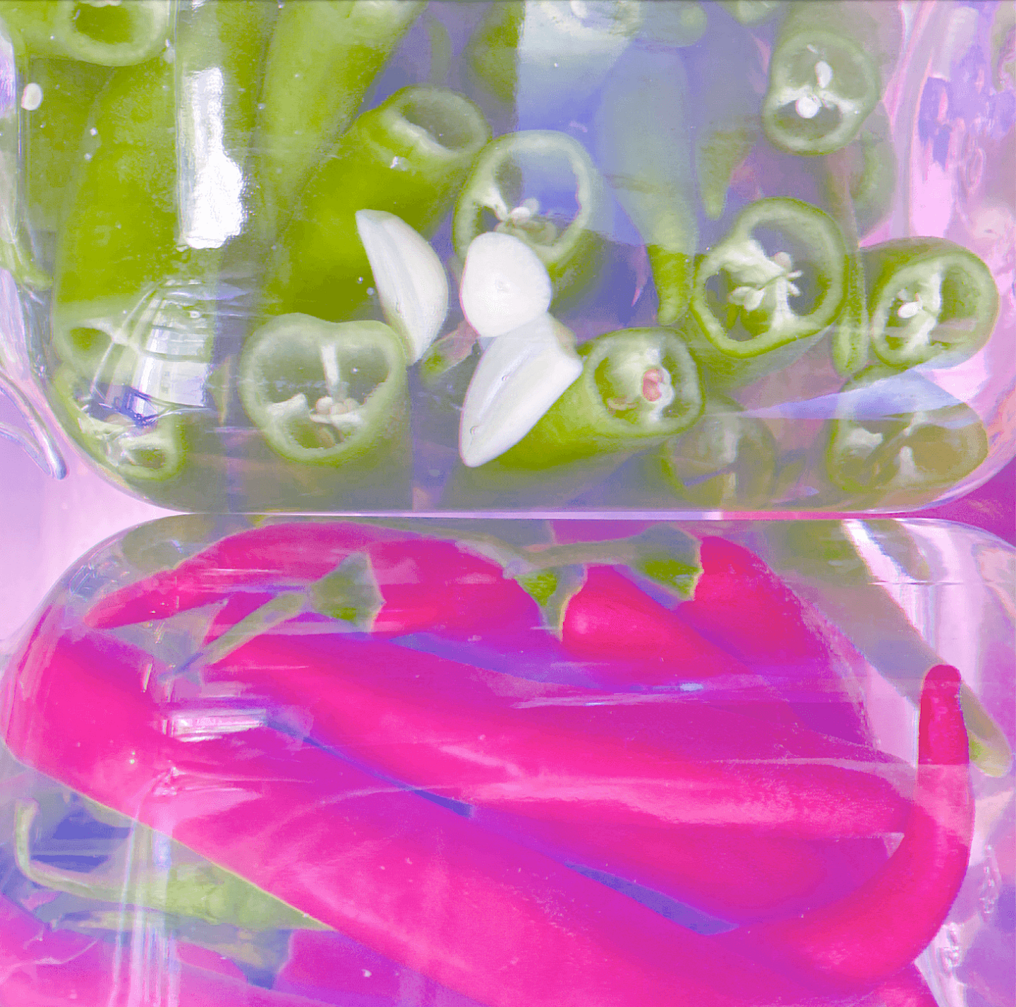 ZW-Workshop: Lacto-Fermentation – Kreativitätschub für Köch*innen