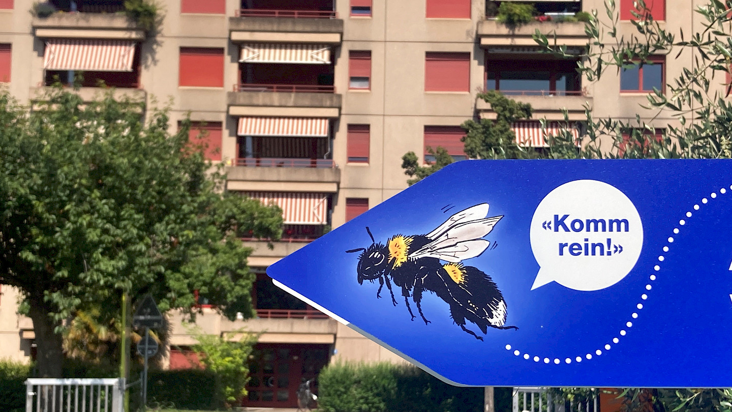 251119+Hummel+Bombus9x16+2