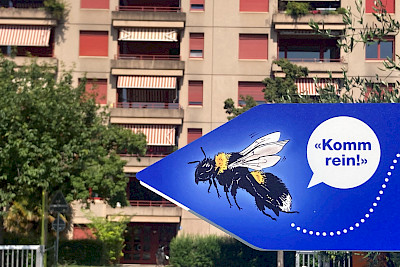 251119+Hummel+Bombus9x16+2