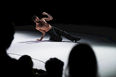 34th Winterthur Dance Festival