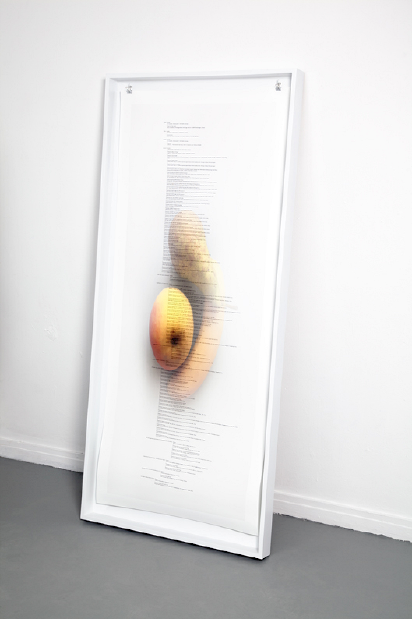 Image Transfers – Apple, Pear and Banana, Digitalprint auf Fotopapier, 2012 © Anne de Vries, Courtesy Galerie Martin van Zomeren, Amsterdam